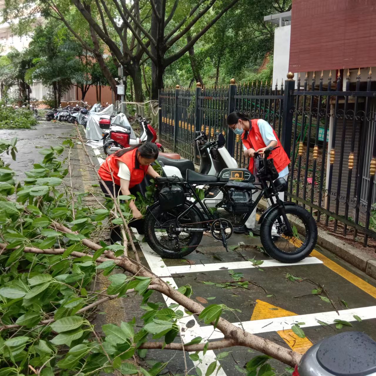 学生志愿者将倾倒的电动车扶正.jpg
